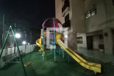 Área comum - Playground de apartamento à venda com 3 quartos, 116m² em Jardim das Paineiras, Campinas