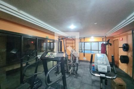 Área comum - Academia de apartamento à venda com 3 quartos, 116m² em Jardim das Paineiras, Campinas