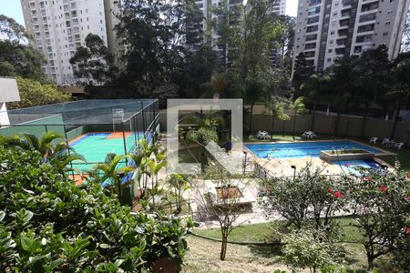 Área comum - Piscina de apartamento à venda com 2 quartos, 68m² em Parque Reboucas, São Paulo
