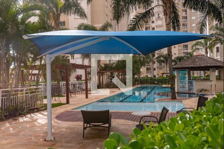 Área comum - Piscina de apartamento à venda com 2 quartos, 80m² em Vila Lemos, Campinas