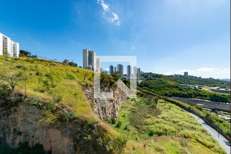 Quarto 1 de apartamento à venda com 2 quartos, 58m² em Engenho Nogueira, Belo Horizonte