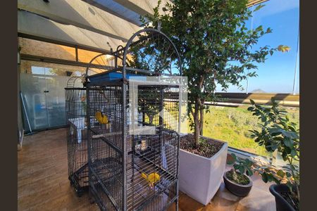 Varanda Sala de apartamento à venda com 2 quartos, 235m² em Recreio dos Bandeirantes, Rio de Janeiro