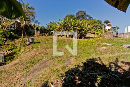 Área externa de casa à venda com 3 quartos, 3825m² em Vila Santos, São Paulo