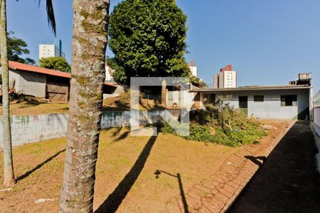 Área externa de casa à venda com 3 quartos, 3825m² em Vila Santos, São Paulo
