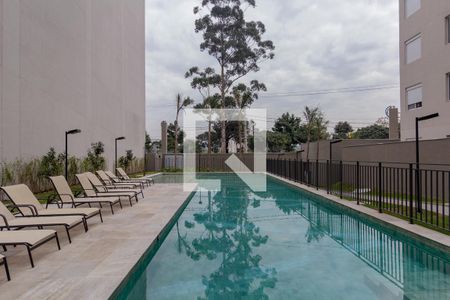 Área Comum - Piscina de apartamento para alugar com 2 quartos, 42m² em Jardim America da Penha, São Paulo