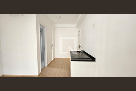 Studio de kitnet/studio para alugar com 1 quarto, 30m² em Ipiranga, São Paulo