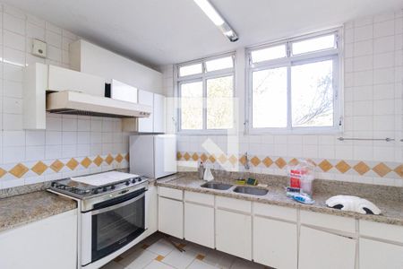 Cozinha de casa de condomínio para alugar com 7 quartos, 564m² em Vila Appia Antica, Carapicuíba