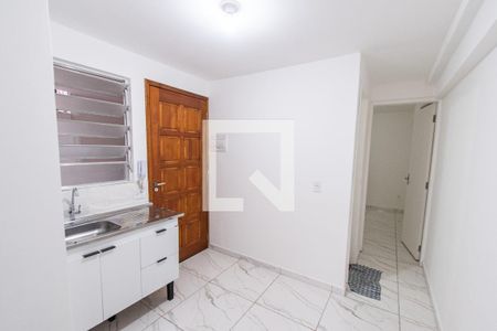 Cozinha de apartamento para alugar com 1 quarto, 27m² em Ipiranga, São Paulo