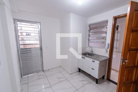 Cozinha de apartamento para alugar com 1 quarto, 27m² em Ipiranga, São Paulo
