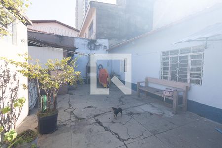Quintal de casa à venda com 4 quartos, 200m² em Parque Novo Mundo, São Paulo