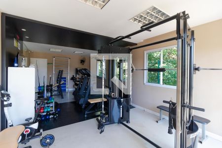 Área comum - Academia de apartamento para alugar com 2 quartos, 52m² em Jardim Samambaia, Campinas