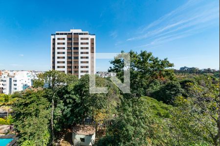 Quarto 1 Vista de apartamento à venda com 3 quartos, 179m² em Castelo, Belo Horizonte