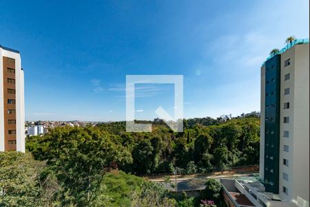 Varanda de apartamento à venda com 3 quartos, 179m² em Castelo, Belo Horizonte