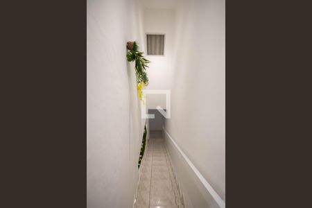 Escada de casa para alugar com 3 quartos, 154m² em Vila Constança, São Paulo