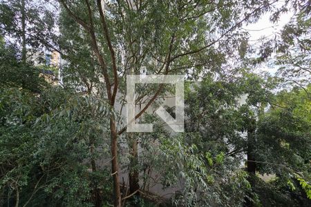 Vista do Quarto 1 de apartamento à venda com 3 quartos, 90m² em Vila Lusitania, São Bernardo do Campo