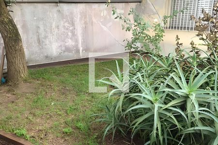 Casa à venda com 2 quartos, 196m² em Vila Leopoldina, Santo André