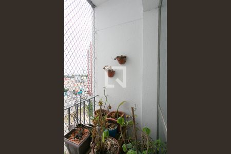 Varanda da Sala de apartamento à venda com 3 quartos, 80m² em Chácara Santo Antônio (zona Leste), São Paulo