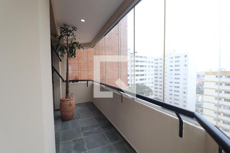 Varanda da Sala de apartamento para alugar com 3 quartos, 227m² em Jardim Bela Vista, Santo André