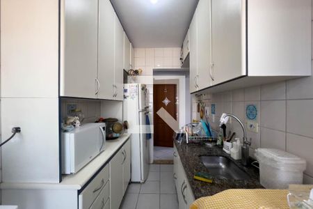 Cozinha de apartamento para alugar com 2 quartos, 50m² em Ipiranga, São Paulo