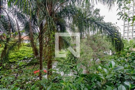 Foto 11 de apartamento à venda com 2 quartos, 160m² em Jardim Paulista, São Paulo
