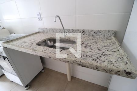 Cozinha de apartamento para alugar com 2 quartos, 52m² em Shopping Park, Uberlândia