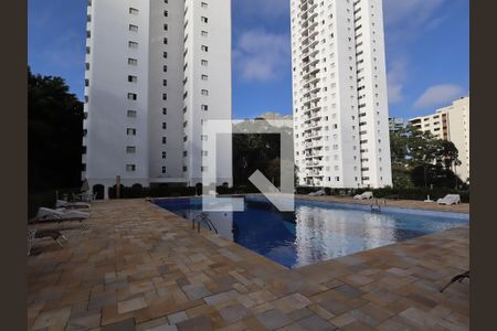 Área comum - Piscina de apartamento para alugar com 3 quartos, 76m² em Vila Suzana, São Paulo