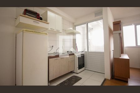 Cozinha de apartamento para alugar com 1 quarto, 34m² em Vila Graciosa, São Paulo