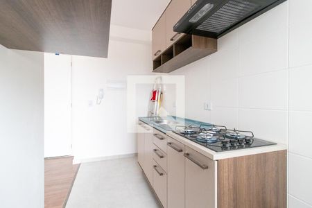 Cozinha de apartamento para alugar com 2 quartos, 45m² em Boneca do Iguaçu, São José dos Pinhais