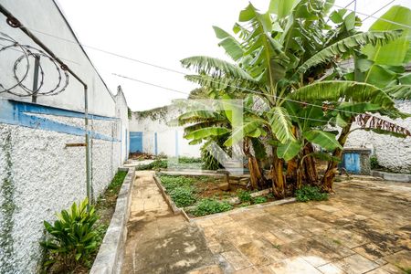 Quintal de casa para alugar com 4 quartos, 450m² em Vila Carrão, São Paulo