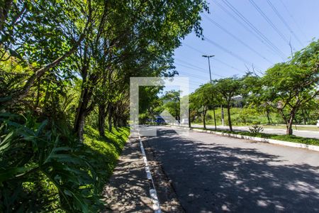 Vista da Rua de casa de condomínio à venda com 4 quartos, 565m² em Residencial Doze (alphaville), Santana de Parnaíba