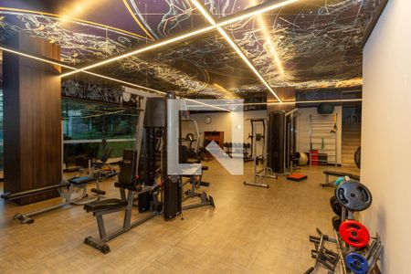 Área comum - Academia de apartamento à venda com 3 quartos, 470m² em Santa Lúcia, Belo Horizonte