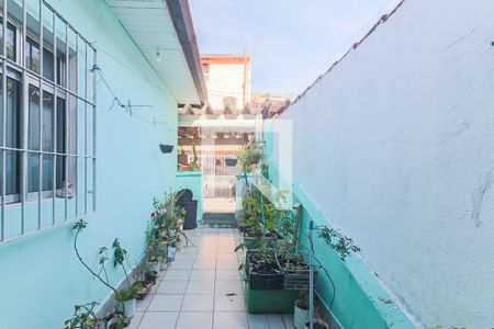 Quintal de casa à venda com 3 quartos, 130m² em Jardim Maria Luiza, São Paulo