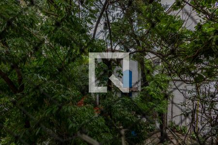 Vista da Varanda da Sala  de apartamento à venda com 2 quartos, 60m² em Tijuca, Rio de Janeiro