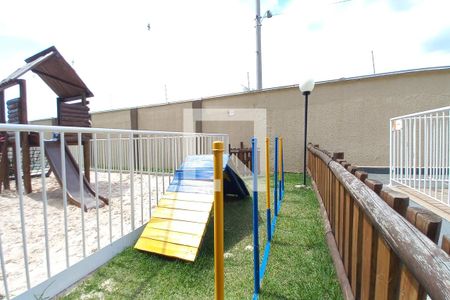 Área Comum - Espaço Pet de apartamento para alugar com 2 quartos, 41m² em Jardim Florence, Campinas