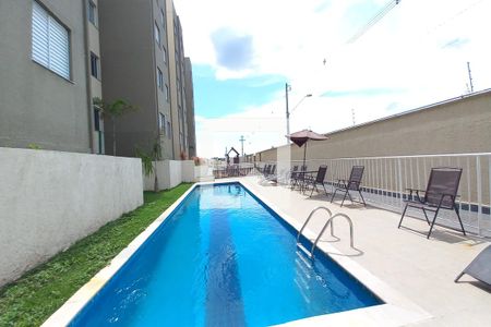 Área comum - Piscina de apartamento para alugar com 2 quartos, 41m² em Jardim Florence, Campinas