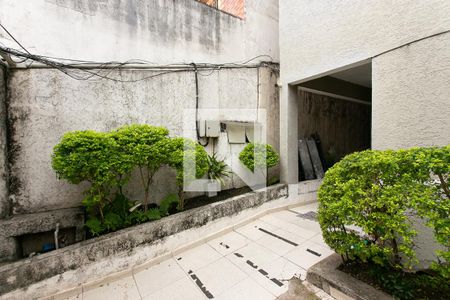 Área Comum de apartamento para alugar com 1 quarto, 30m² em Alto do Pari, São Paulo