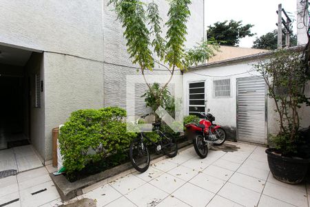 Área Comum de apartamento para alugar com 1 quarto, 30m² em Alto do Pari, São Paulo