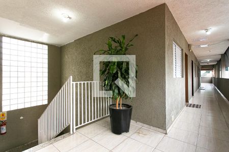 Área Comum - Corredor de apartamento para alugar com 1 quarto, 30m² em Alto do Pari, São Paulo