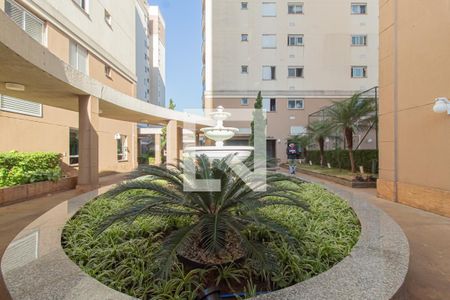 Área comum de apartamento para alugar com 3 quartos, 68m² em Vila Marieta, São Paulo