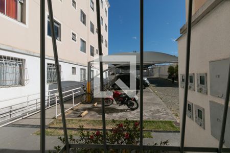 Vista Quarto 1 de apartamento para alugar com 2 quartos, 60m² em São Pedro (venda Nova), Belo Horizonte