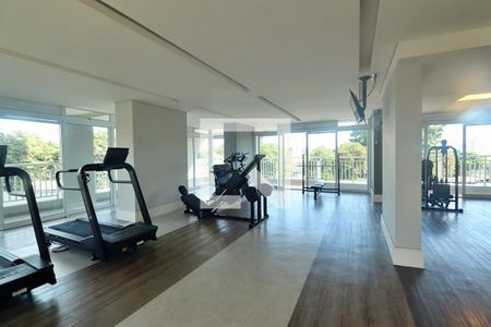 Área comum - Academia de apartamento para alugar com 2 quartos, 49m² em Santa Terezinha, Santo André