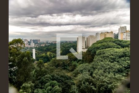 Vista da Varanda da Sala de apartamento para alugar com 3 quartos, 150m² em Jardim Monte Kemel, São Paulo