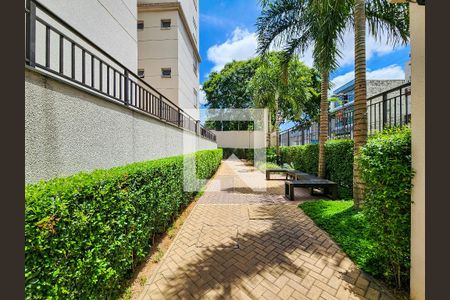 Área comum de apartamento à venda com 3 quartos, 80m² em Vila Guilherme, São Paulo