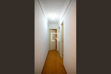 Corredor de apartamento à venda com 2 quartos, 47m² em Vila Moinho Velho, São Paulo