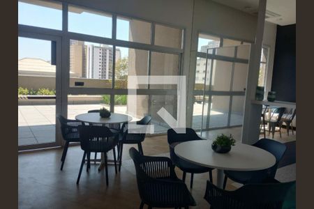 Apartamento à venda com 3 quartos, 109m² em Vila Zilda, São Paulo
