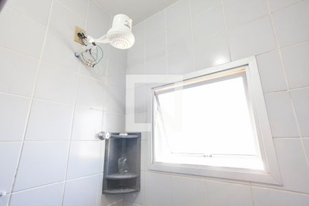 Banheiro Social de apartamento para alugar com 2 quartos, 56m² em Segismundo Pereira, Uberlândia