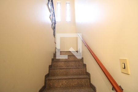 Escada de casa para alugar com 3 quartos, 500m² em Vila Sao Pedro, São Paulo