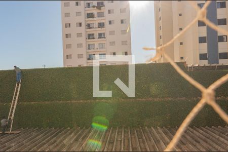 Vista Quarto 1 de apartamento à venda com 3 quartos, 122m² em Jardim Paranapanema, Campinas