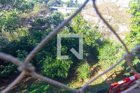 Quintal de casa para alugar com 4 quartos, 243m² em Primavera, Novo Hamburgo