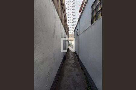 Quintal de casa à venda com 5 quartos, 309m² em Tatuapé, São Paulo